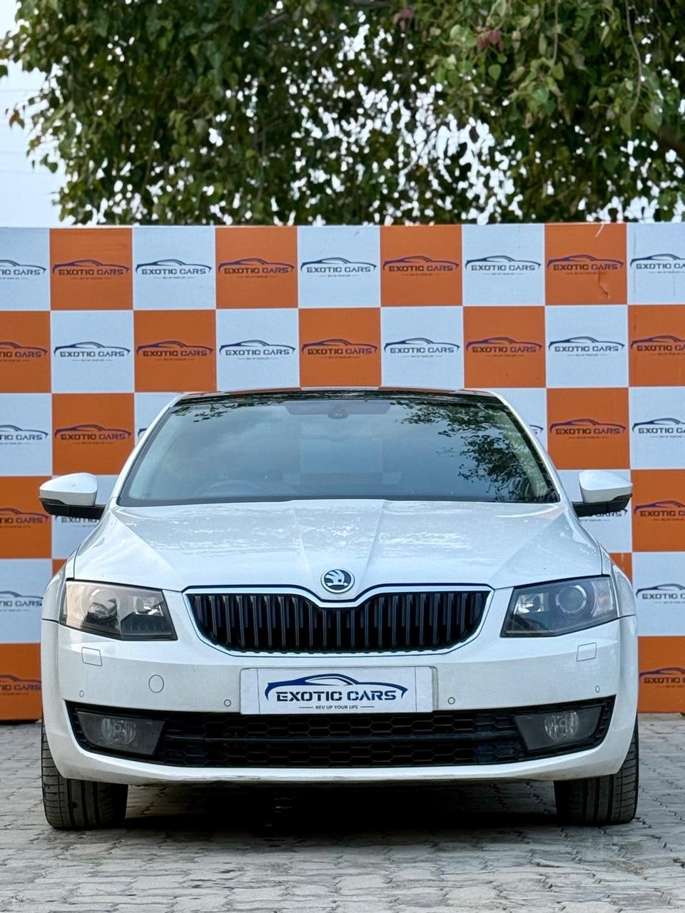 
								SKODA OCTAVIA L&K full									