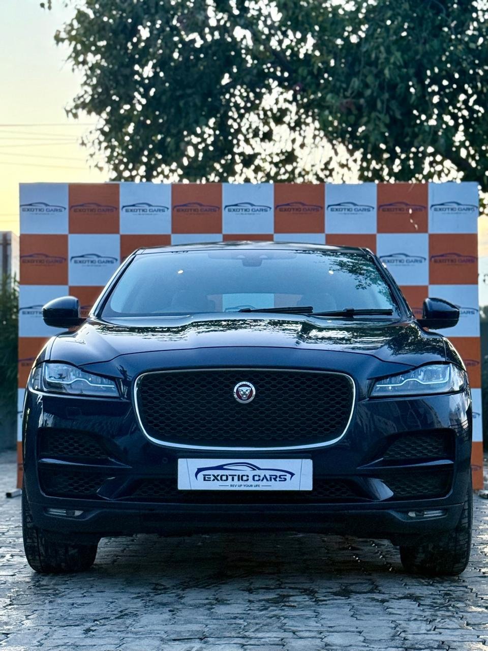 
								JAGUAR F-PACE R DYNAMIC full									